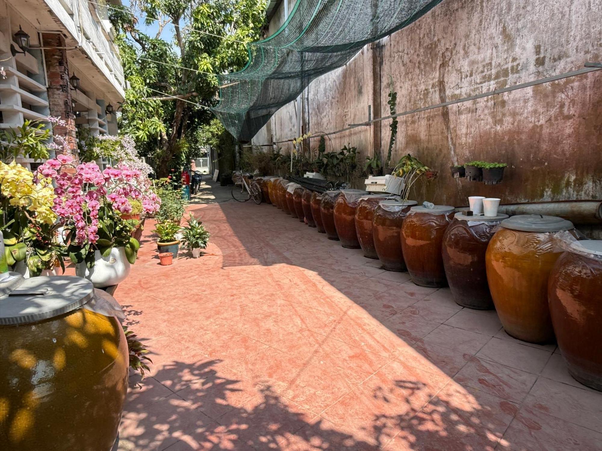 Island Homestay Tien Giang 미토 외부 사진