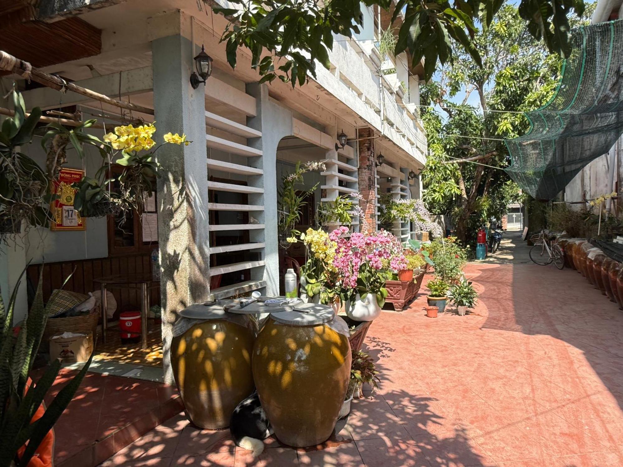 Island Homestay Tien Giang 미토 외부 사진